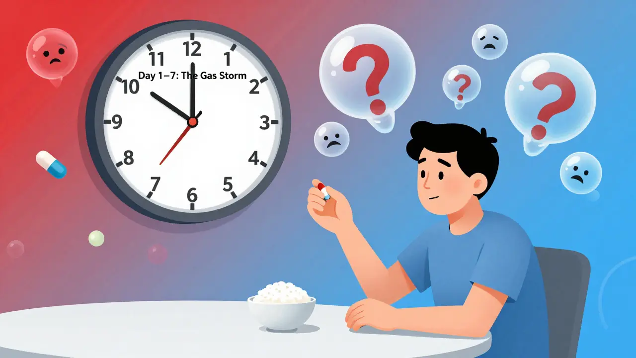 食事中に頭上にガスの雲が浮かび、小さな薬とご飯が描かれた、腸の適応を象徴する抽象的な情景。