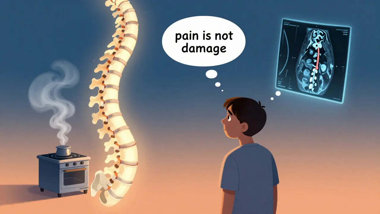 痛みの神経科学教育：痛みの体験を変える方法
